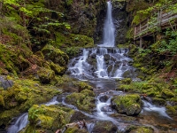 Fundy National Park Of Canada